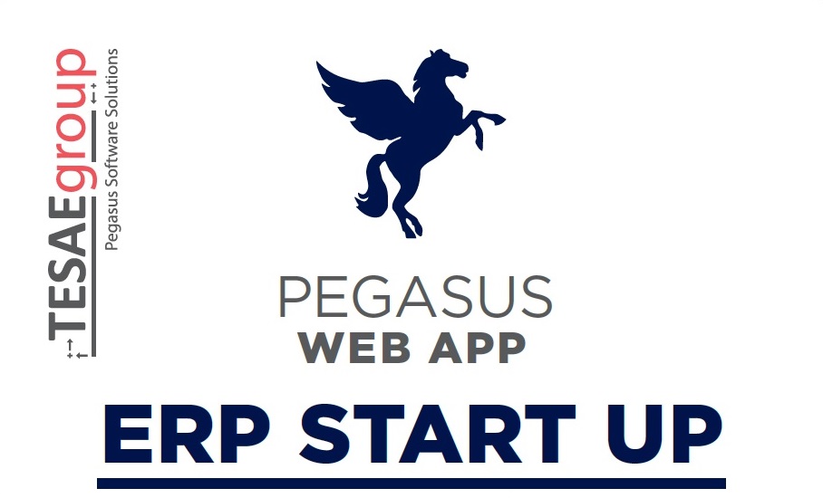Pegasus Web App ERP Start UP