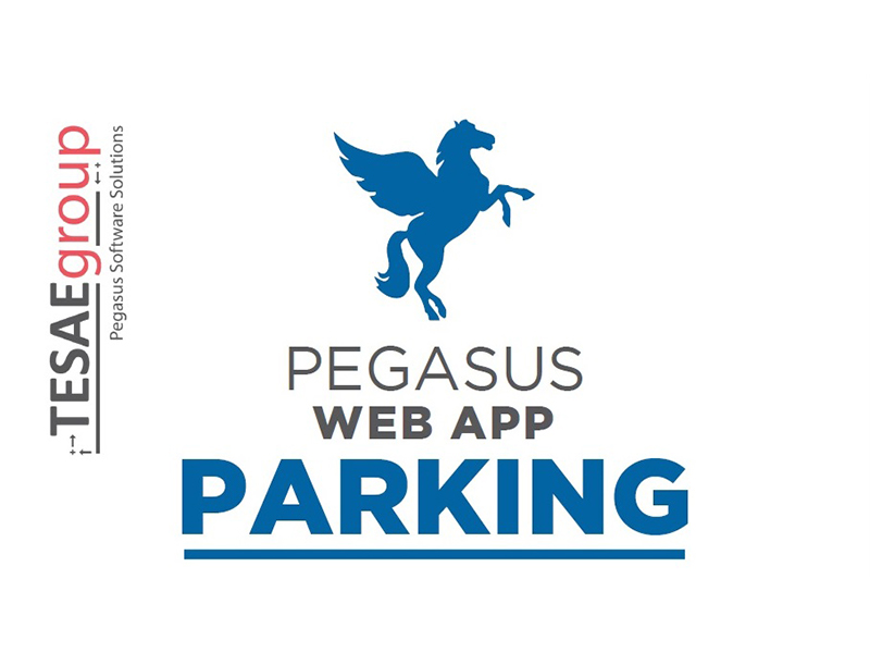 Pegasus Web App Parking