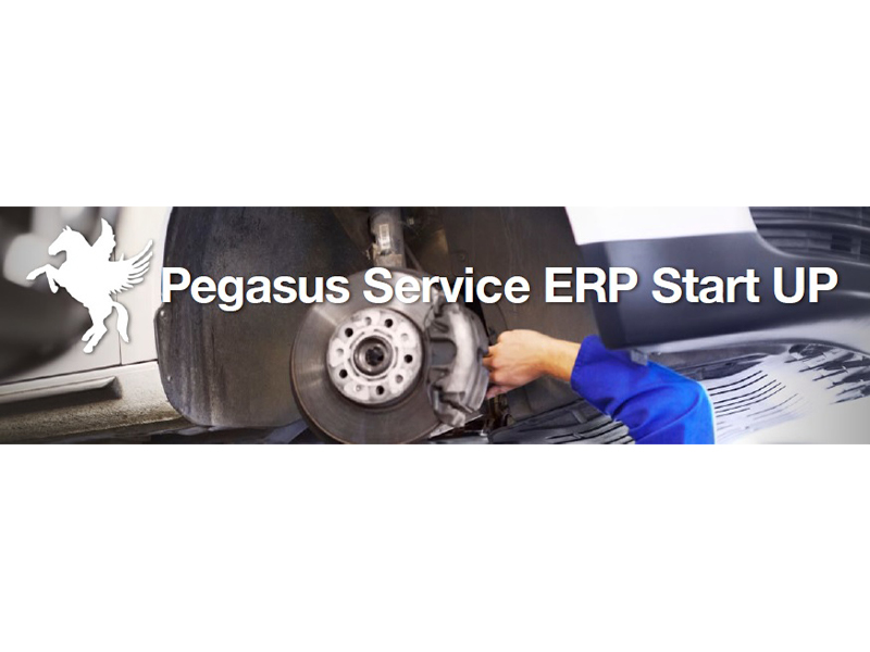 Pegasus Service ERP